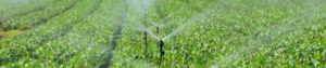Sicilia contributi acqua