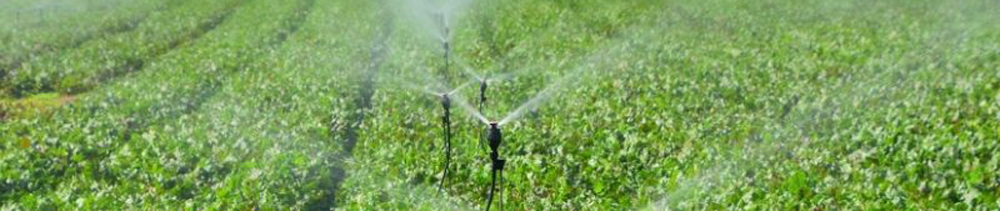 Agricoltura in Sicilia, intervento SRD01 per l’acqua: fino all’80% a fondo perduto
